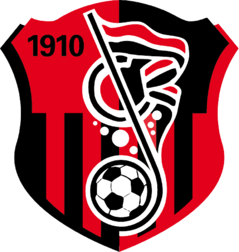 https://img.dancefonteyn.com/img/football/team/93e018cff141af47eae05333ac19a65d.png